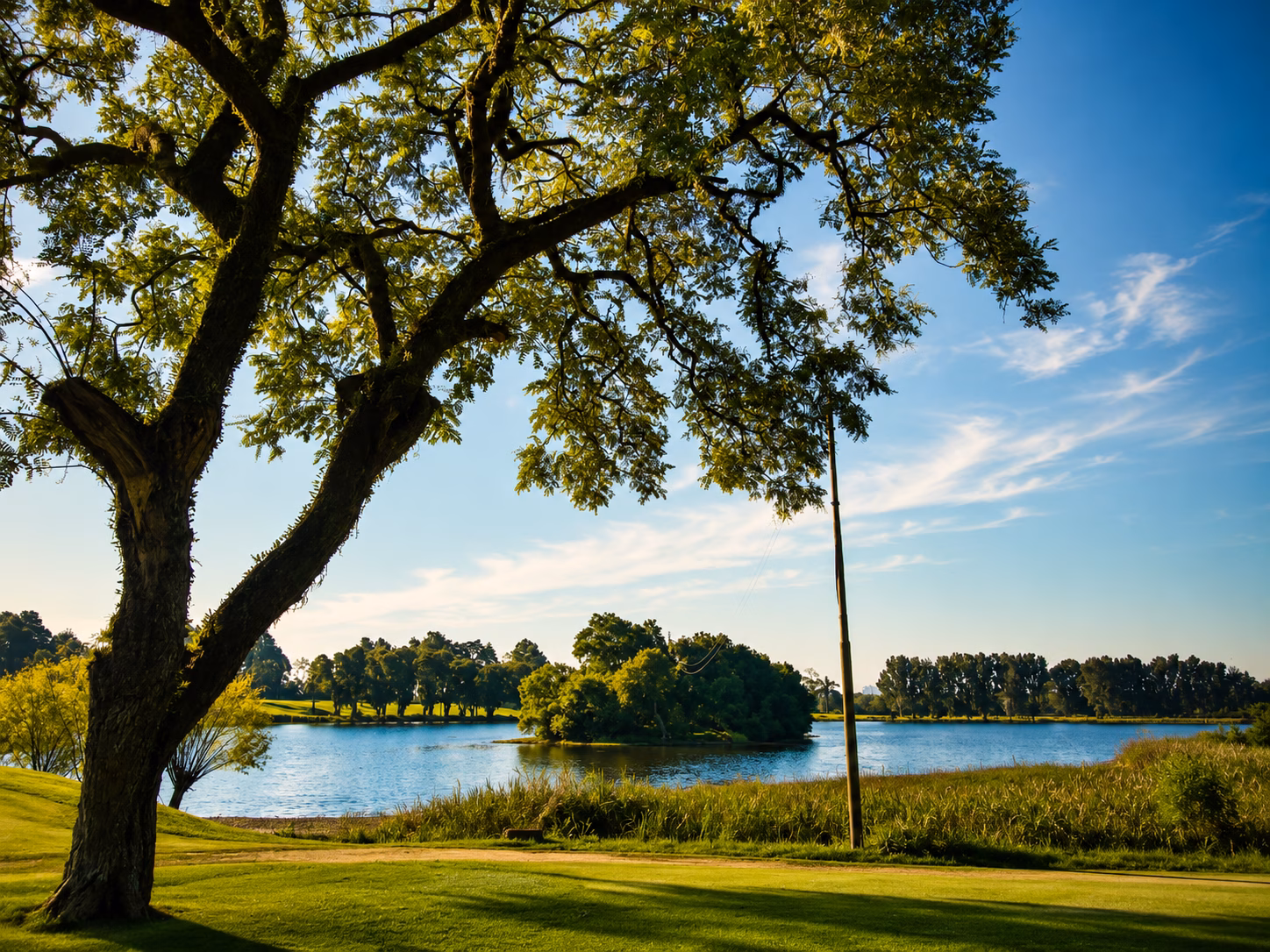 Área verde - Clube Campestre